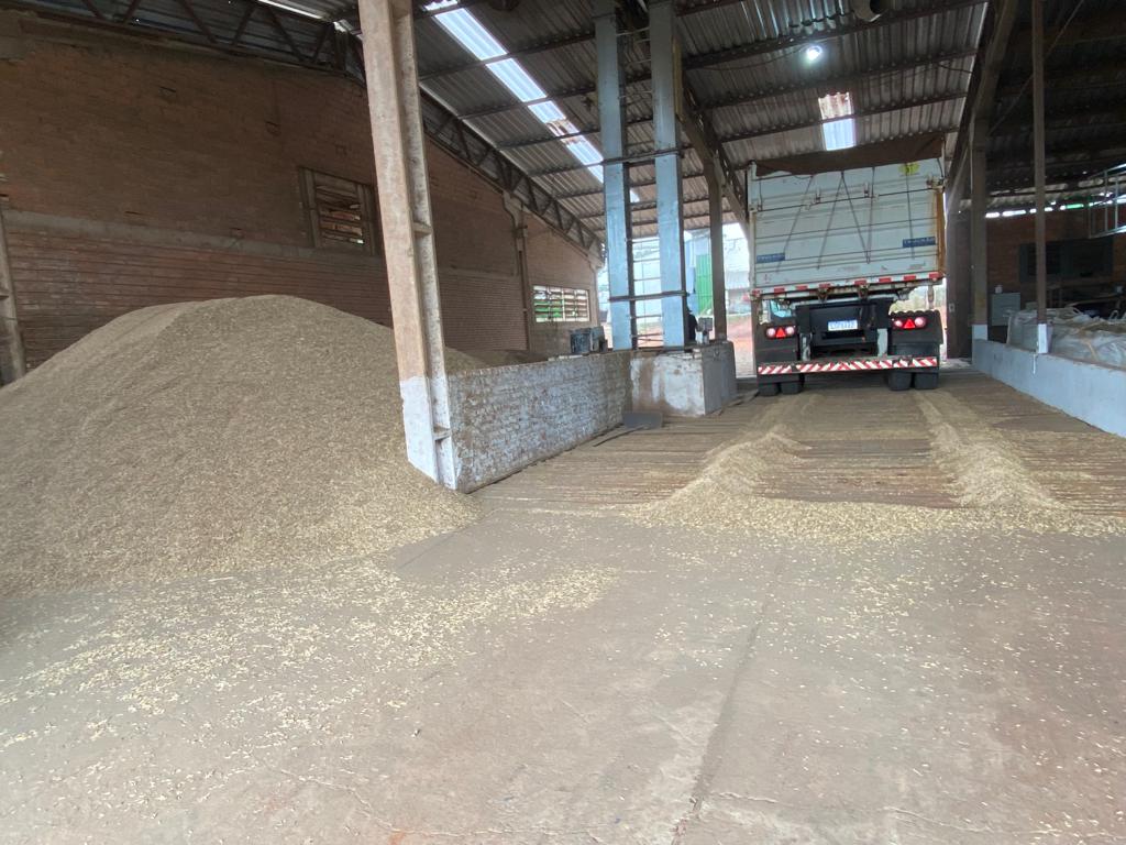 TEM Agro recebe e destina safra de inverno